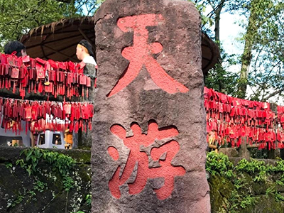 踏青山聚同心，必源環保武夷山團建之旅圓滿收官！